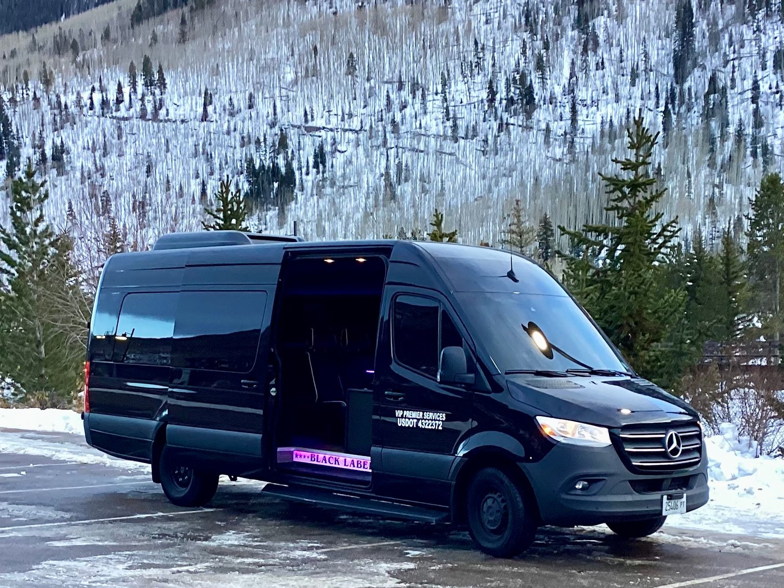 Sprinter at Ford Park in Vail Village